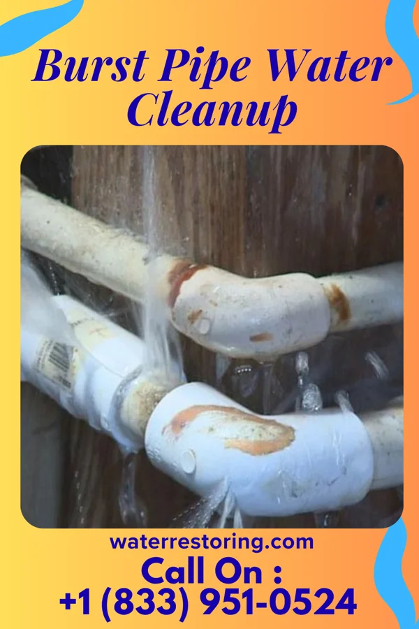 Burst Pipe Water Cleanup in Everett, PA
