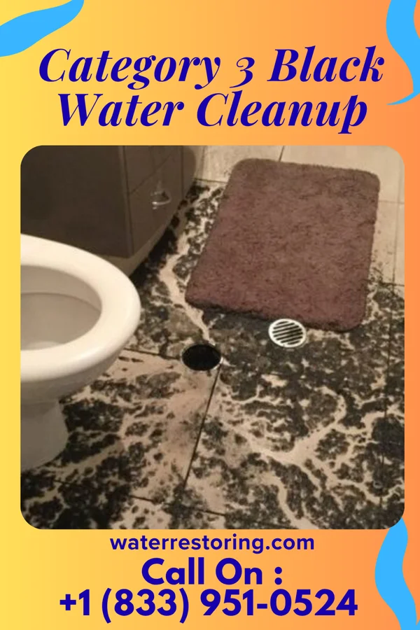 Category 3 Black Water Cleanup in Everett, PA