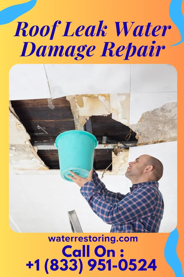 Roof Leak Water Damage Repair in Everett, PA
