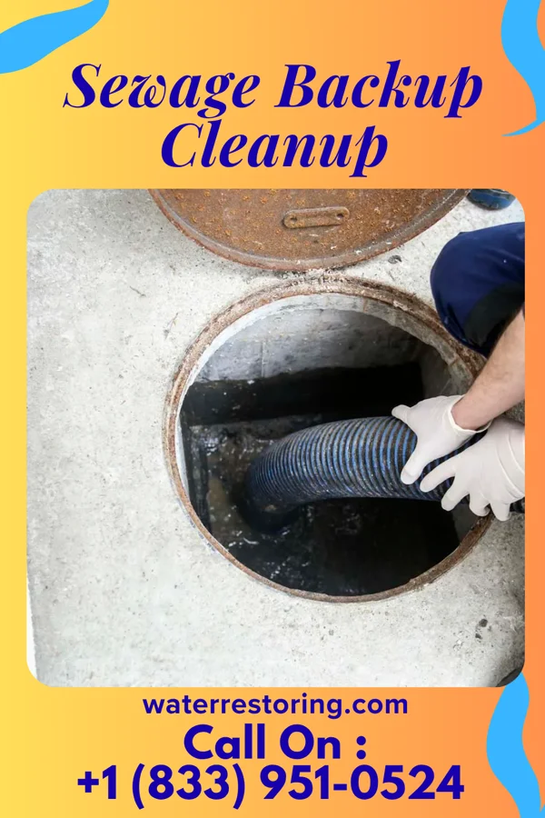 Sewage Backup Cleanup in Everett, PA