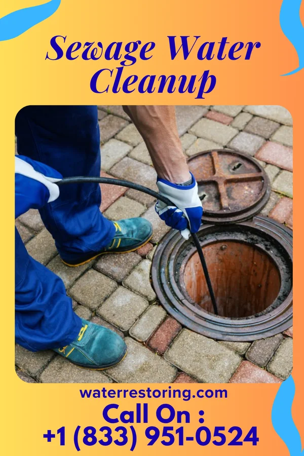 Sewage Water Cleanup in Everett, PA